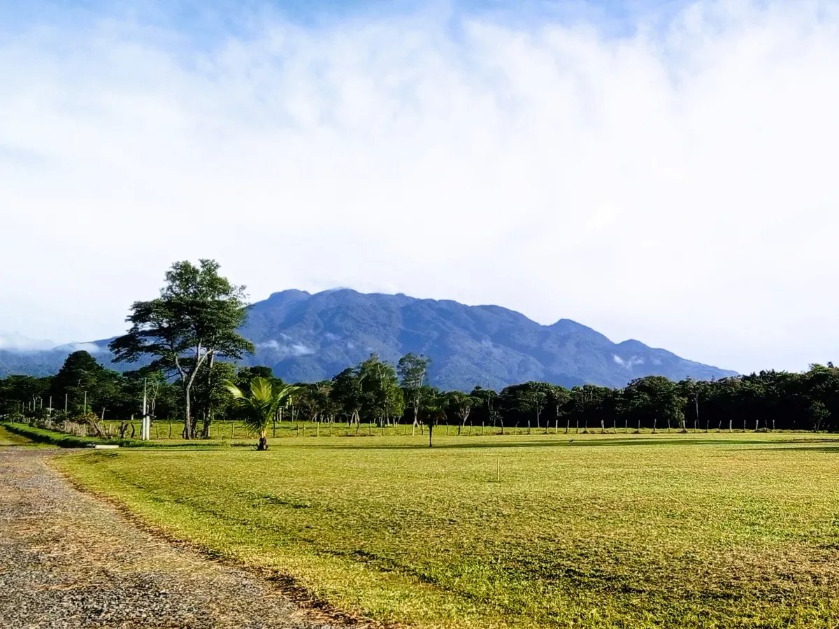 Lote a la Venta en Potrerillos |  3124?m² |  Chiriqui | Panama