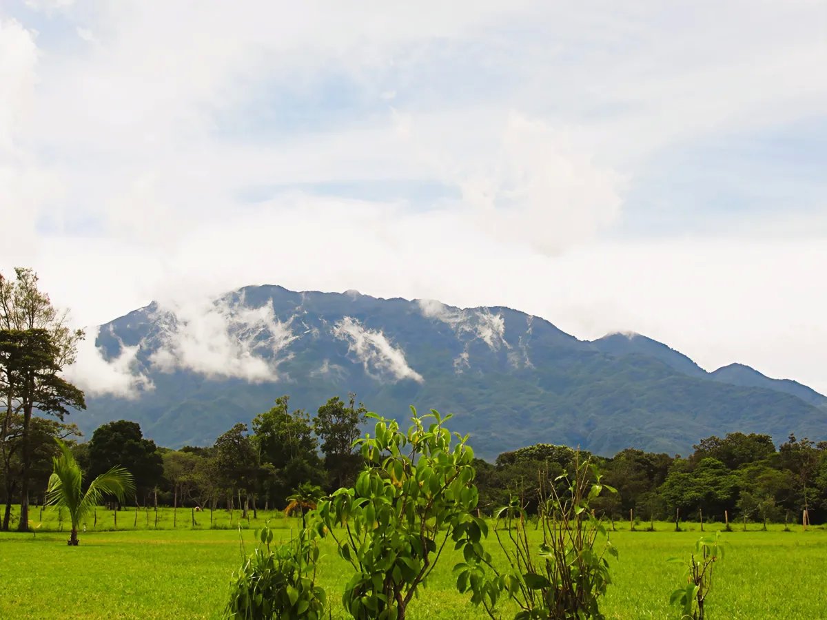 Lote a la Venta en Potrerillos | 3,072?m² | Chiriqui | Panama