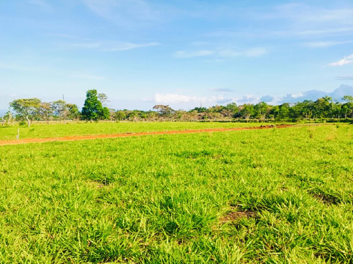 Lote a la Venta en Potrerillos | 3,072?m² | Chiriqui | Panama