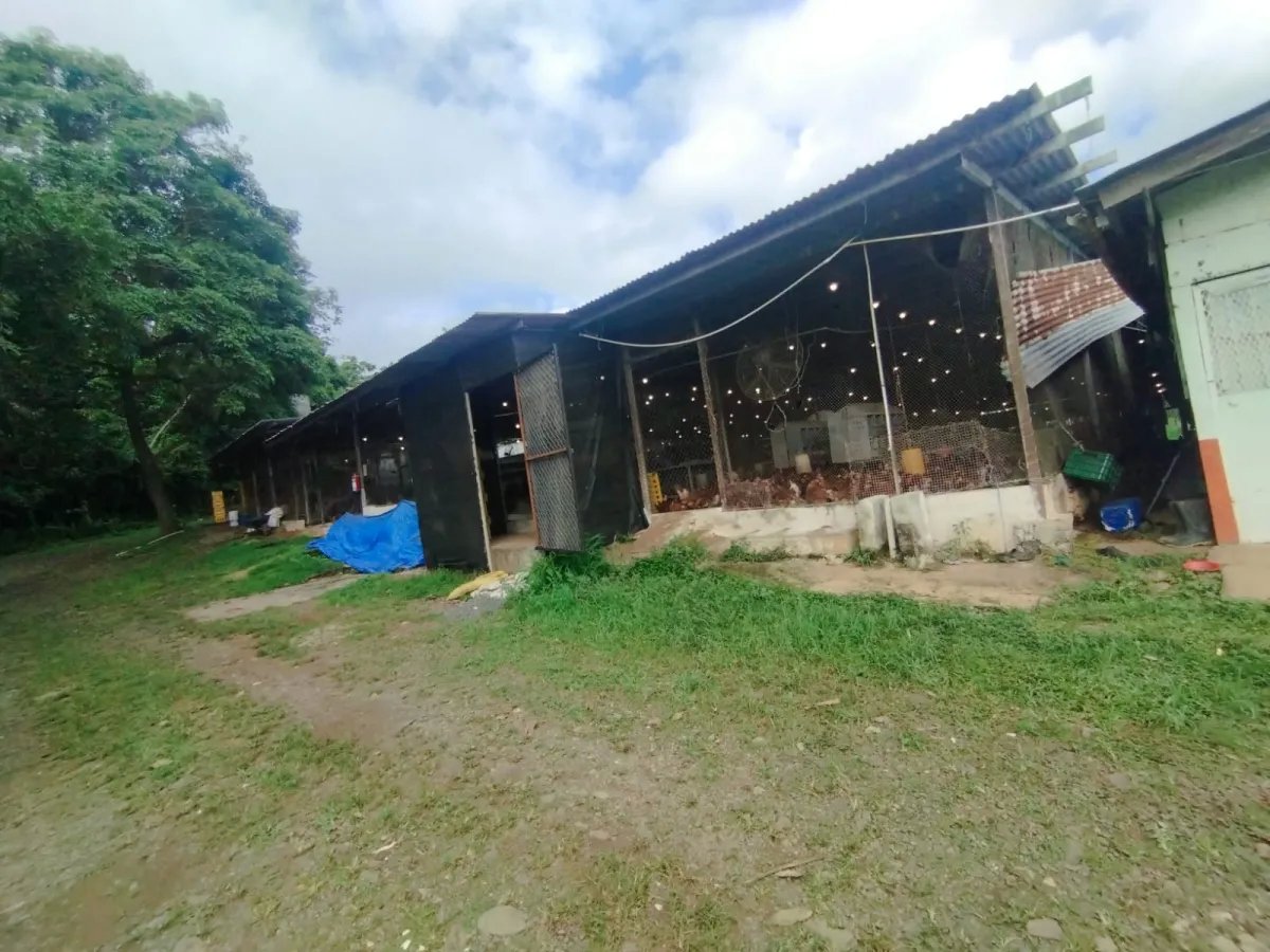 Business For Sale in Capira, Villa Carmen