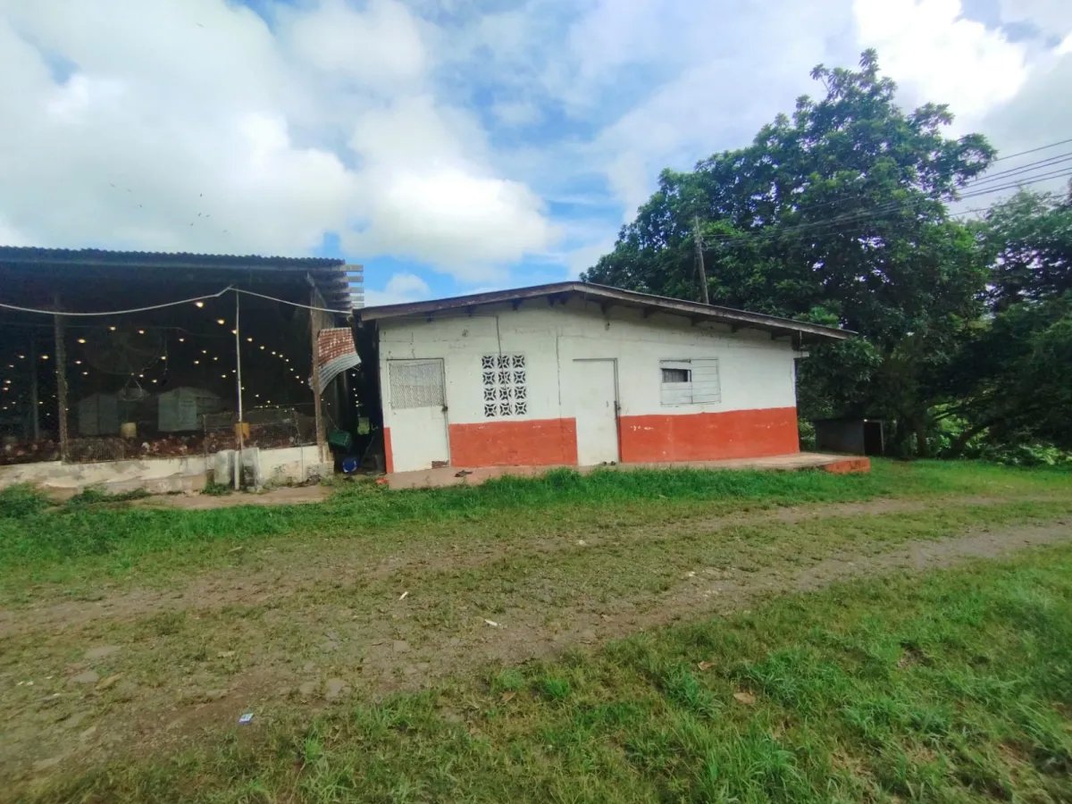 Business For Sale in Capira, Villa Carmen