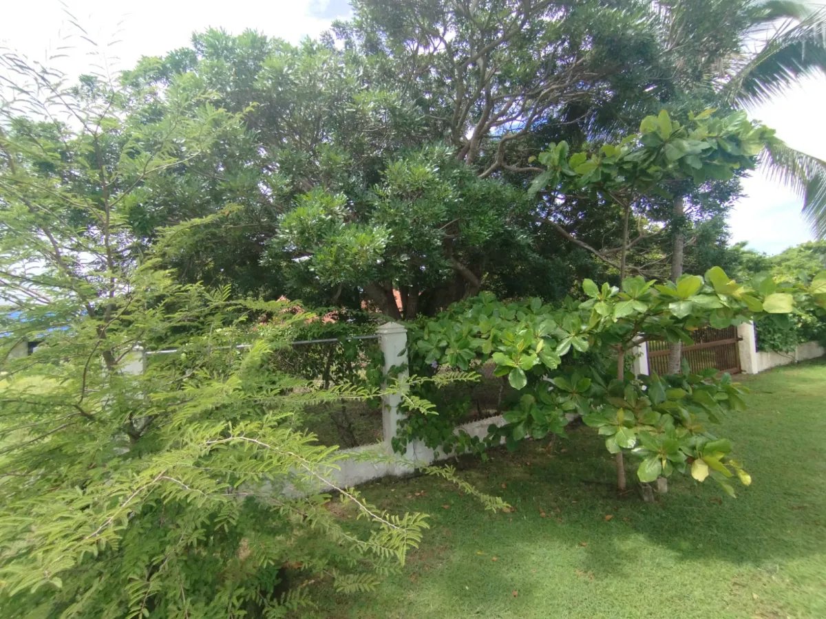 Se vende terreno en Punta Chame