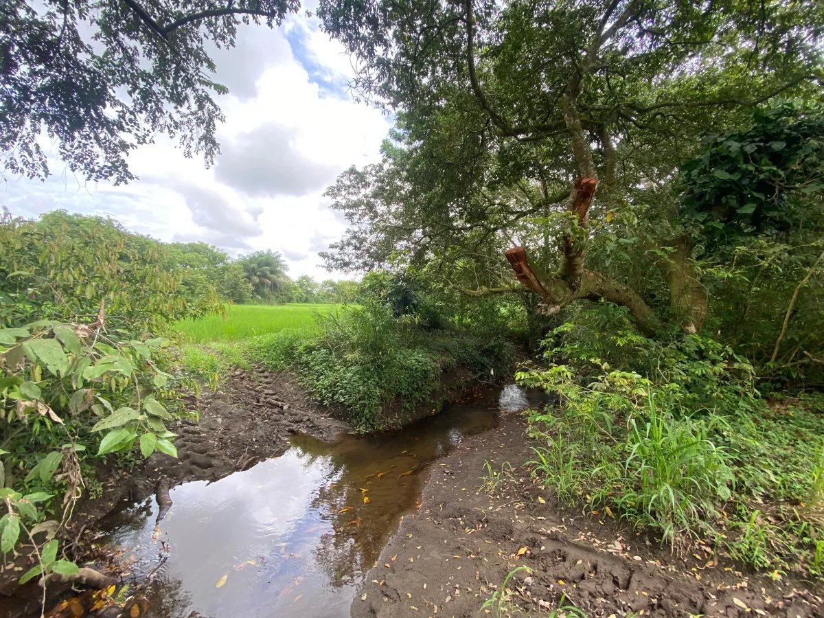 Park-Like Acreage with Endless Potential