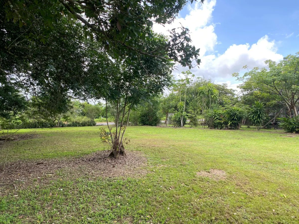 Park-Like Acreage with Endless Potential