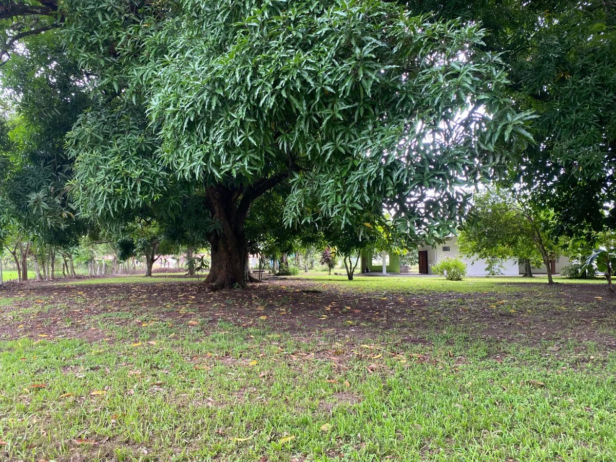 Park-Like Acreage with Endless Potential