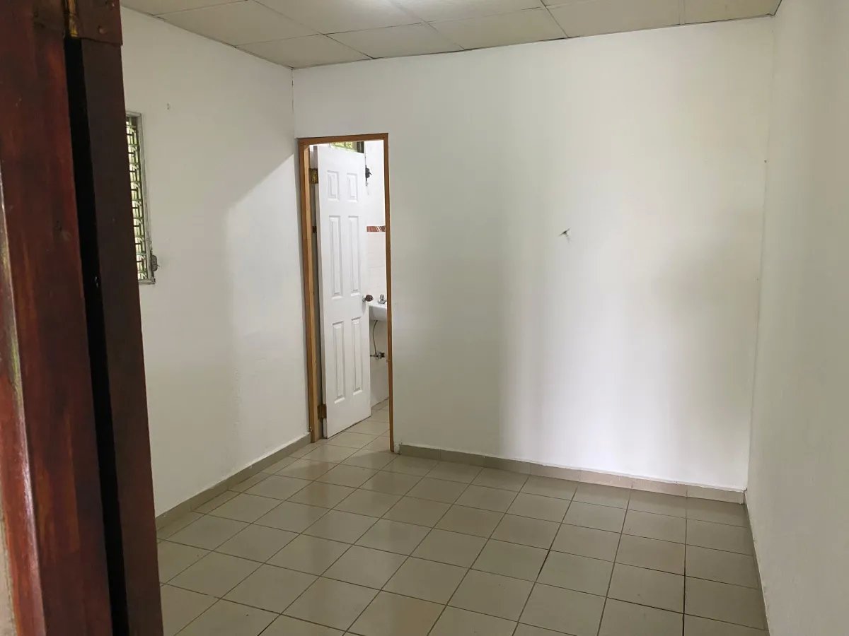 Park-Like Acreage with Endless Potential