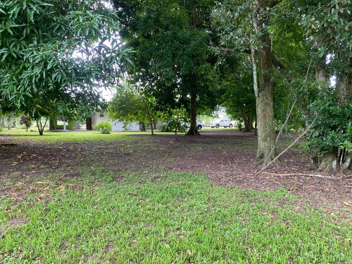 Park-Like Acreage with Endless Potential