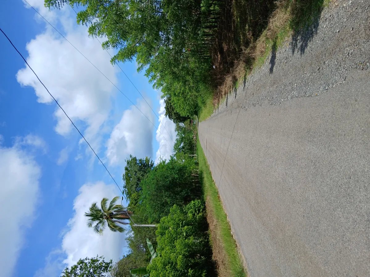 Well-organized, welcoming, and peacefully located finca