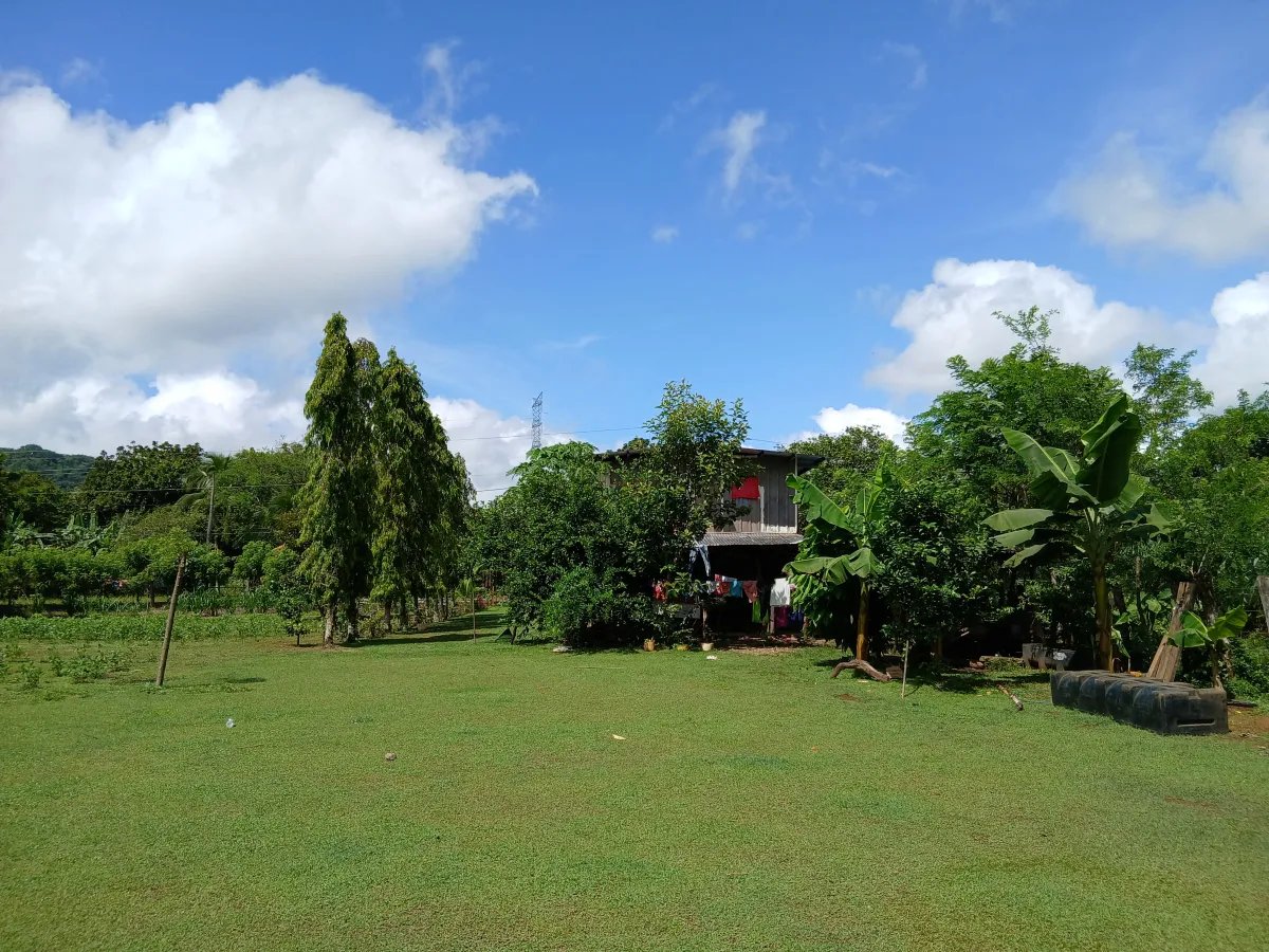 Farm For Sale in Las Lomas