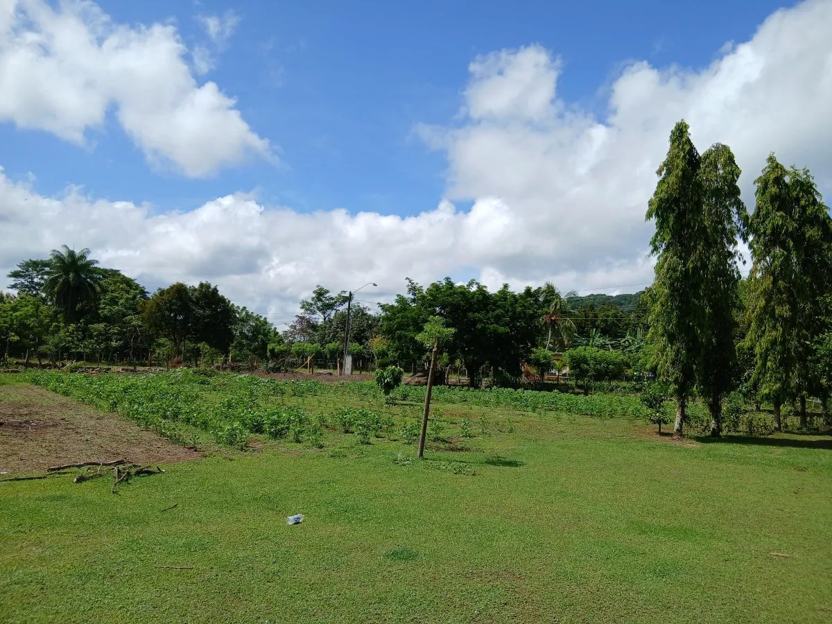 Farm For Sale in Las Lomas