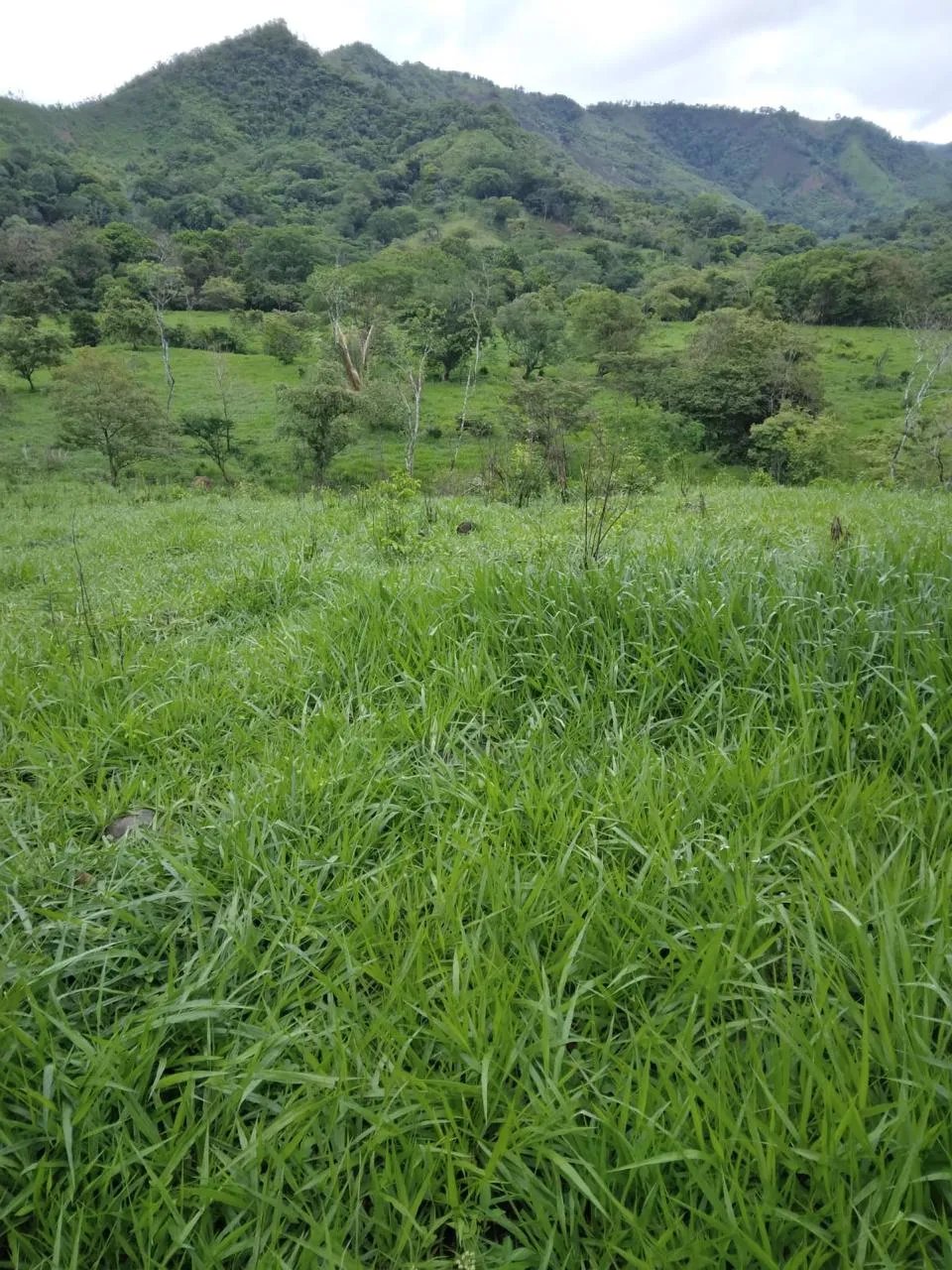 Venta de Finca Exclusiva en Entorno Natural Privilegiado