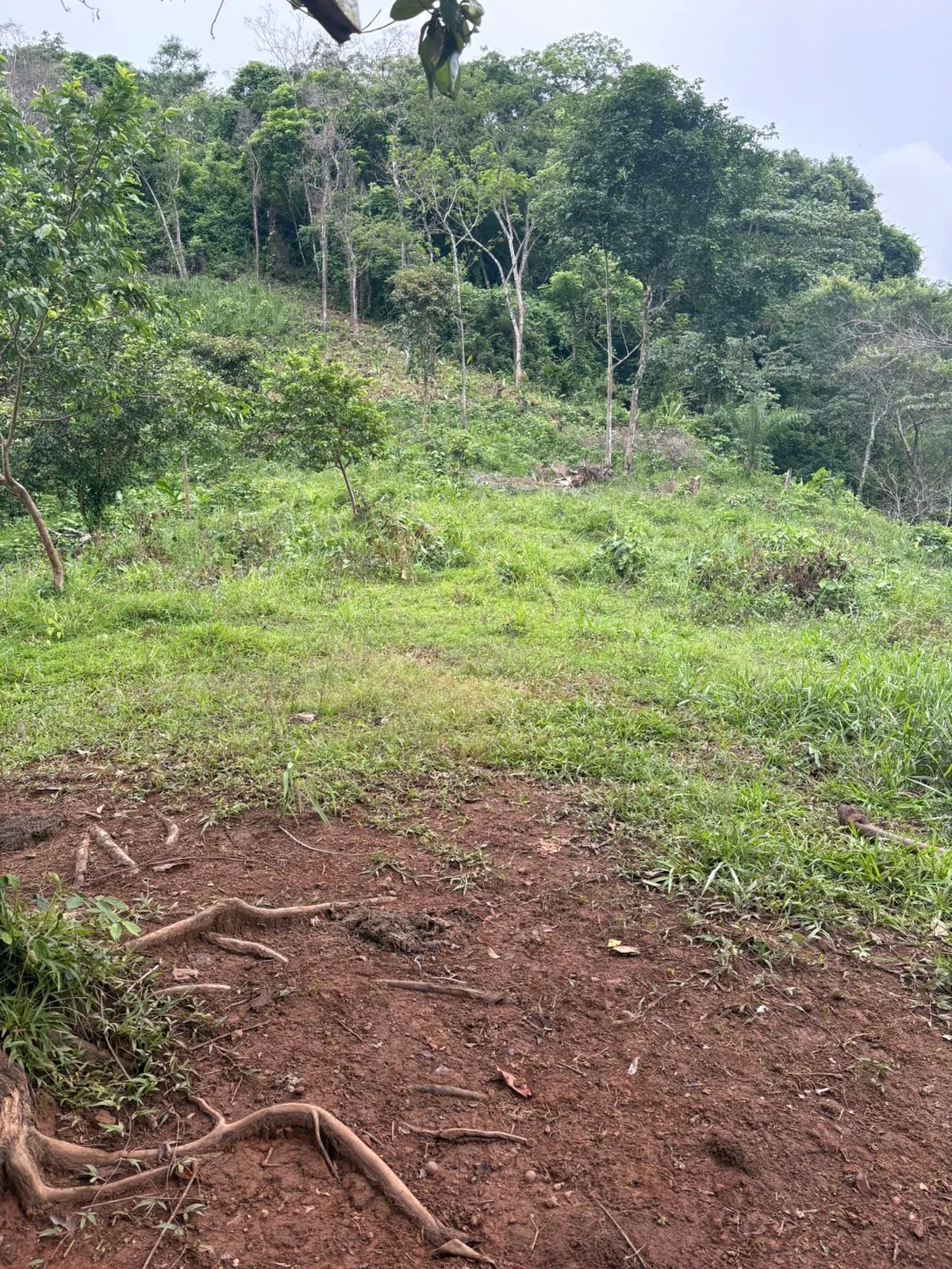 Venta de Finca Exclusiva en Entorno Natural Privilegiado