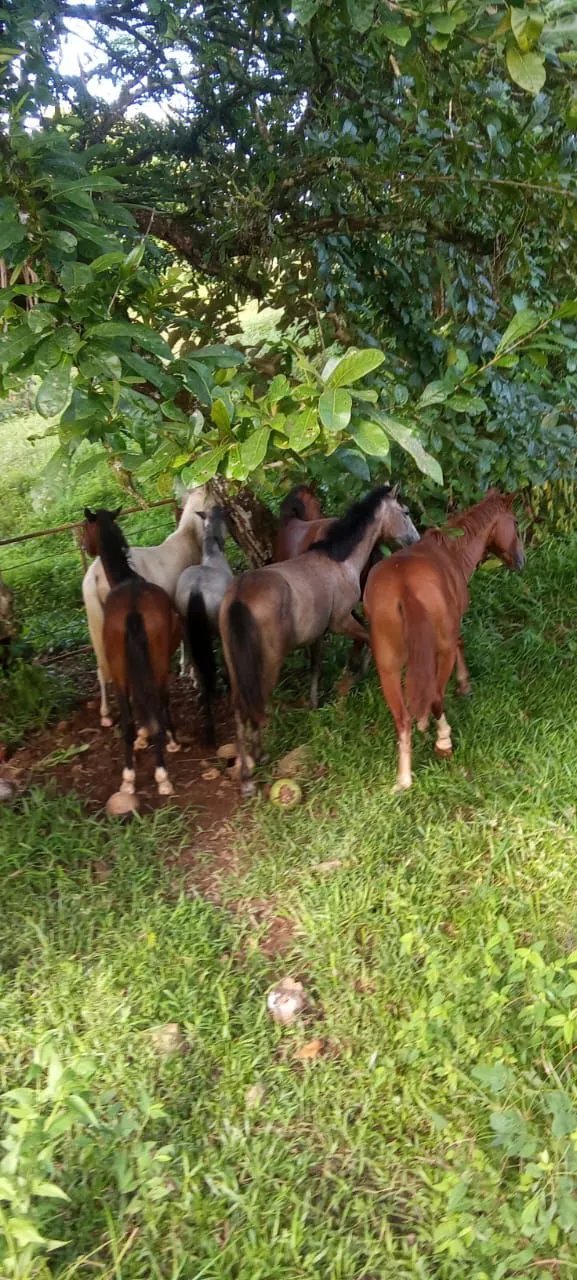Venta de Finca Exclusiva en Entorno Natural Privilegiado
