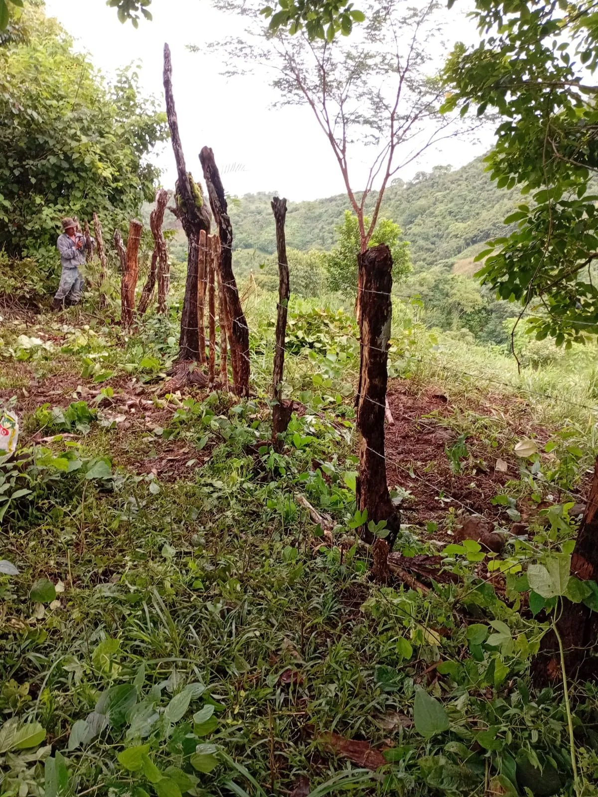 Unimproved Land For Sale in VERAGUAS