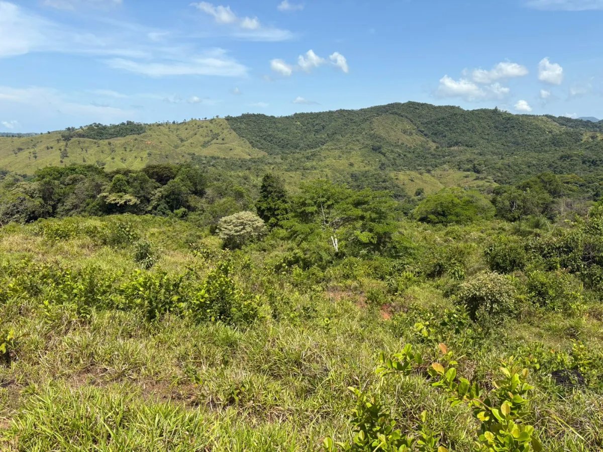 Unimproved Land For Sale in VERAGUAS