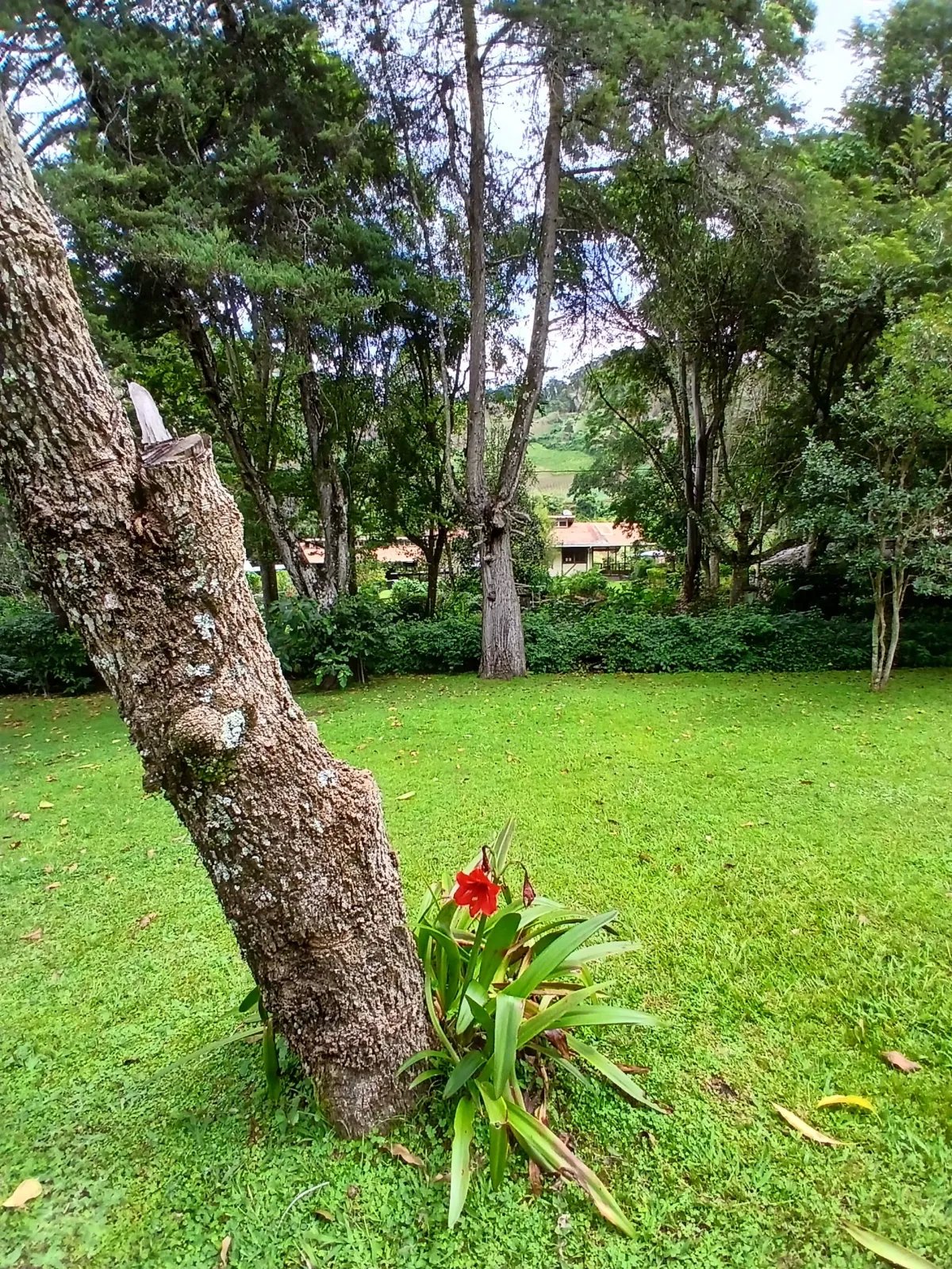 Beautiful park property in a refreshing high-altitude location