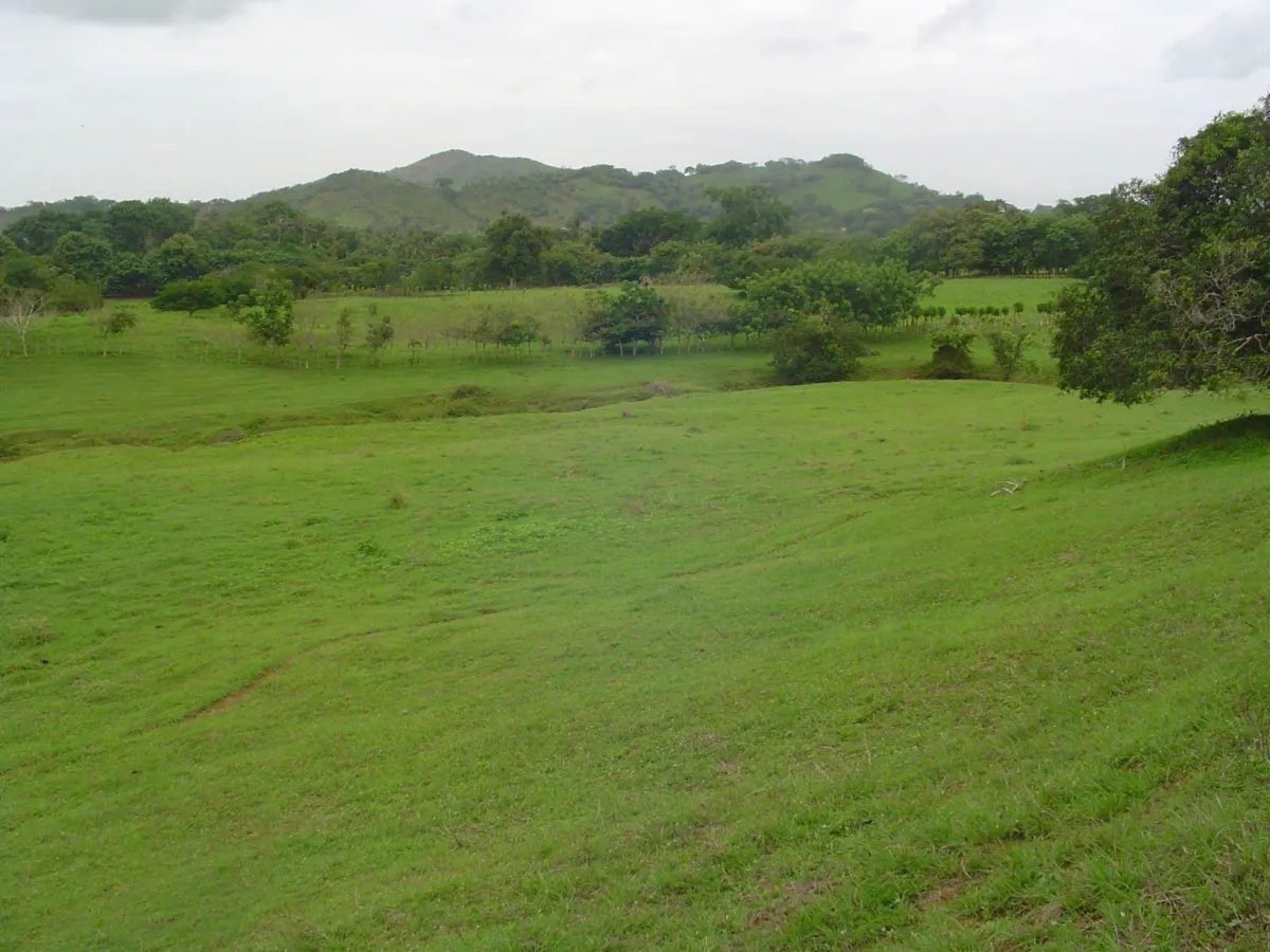 Venta de Finca de 17 Hectáreas en Potuga de Parita
