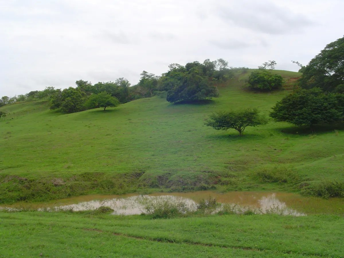 Venta de Finca de 17 Hectáreas en Potuga de Parita
