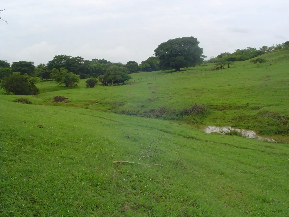 Venta de Finca de 17 Hectáreas en Potuga de Parita