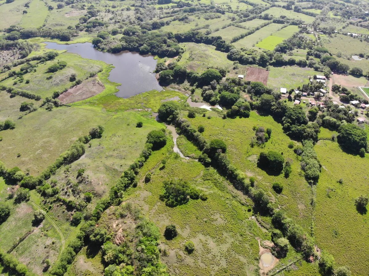Unimproved Land For Sale in Parita, Potuga