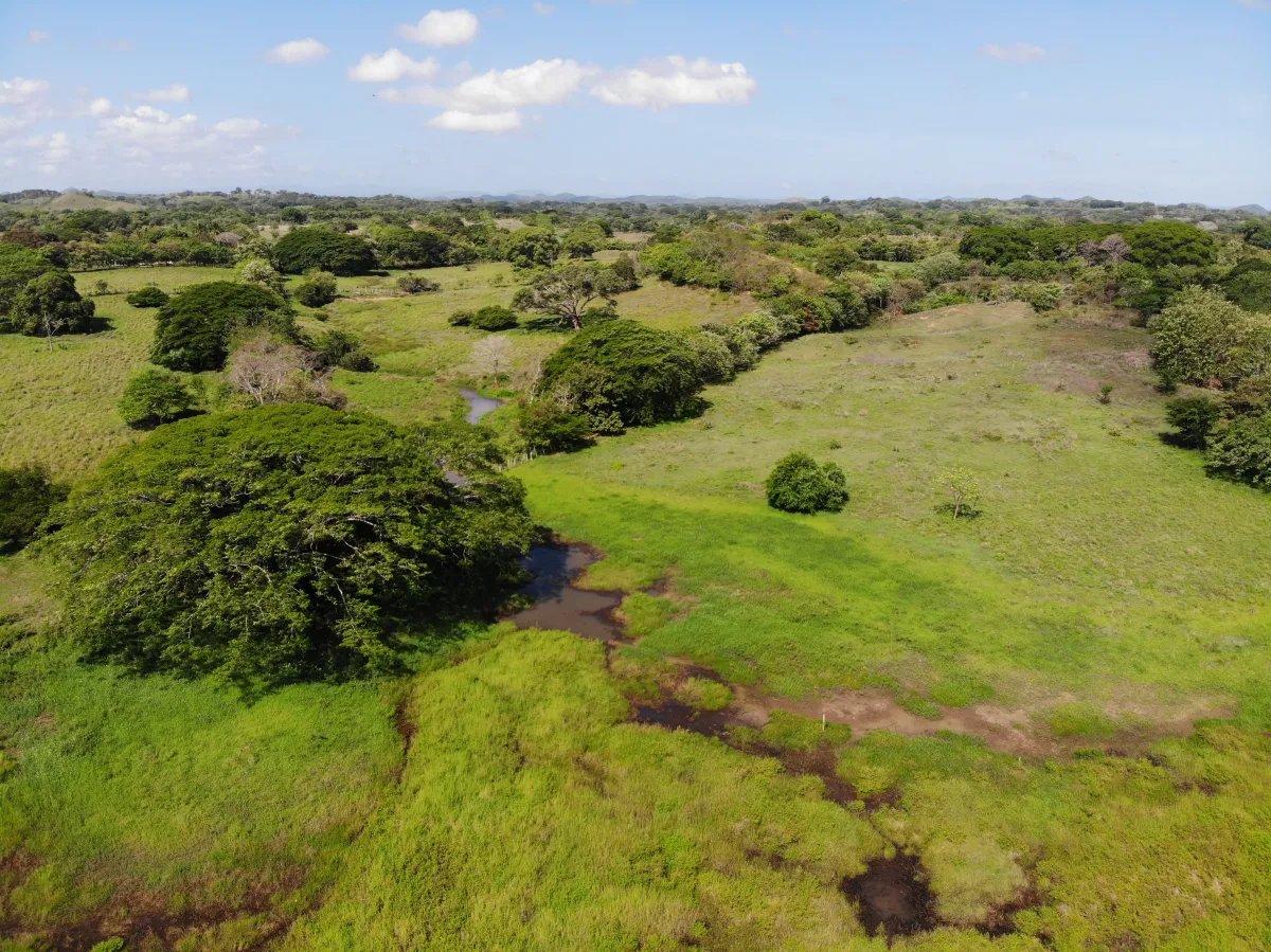 Unimproved Land For Sale in Parita, Potuga