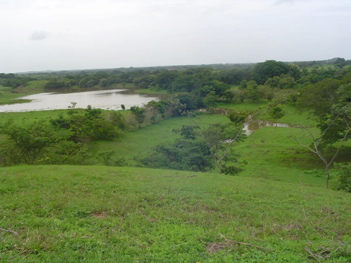 Unimproved Land For Sale in Parita, Potuga