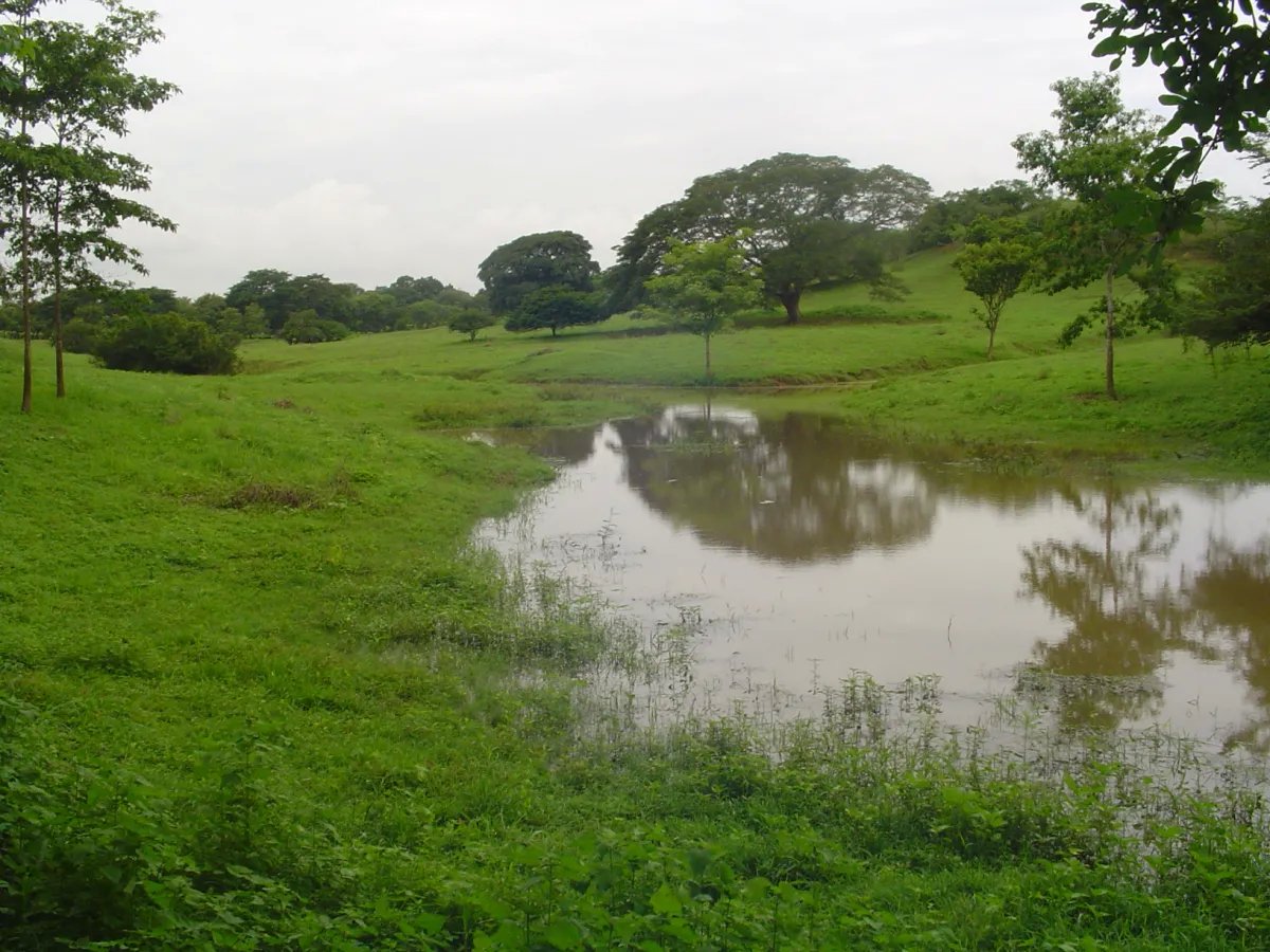 Unimproved Land For Sale in Parita, Potuga
