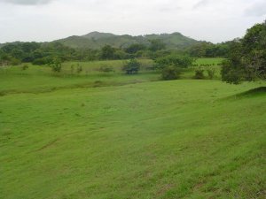 Venta de Finca de 17 Hectáreas en Potuga de Parita