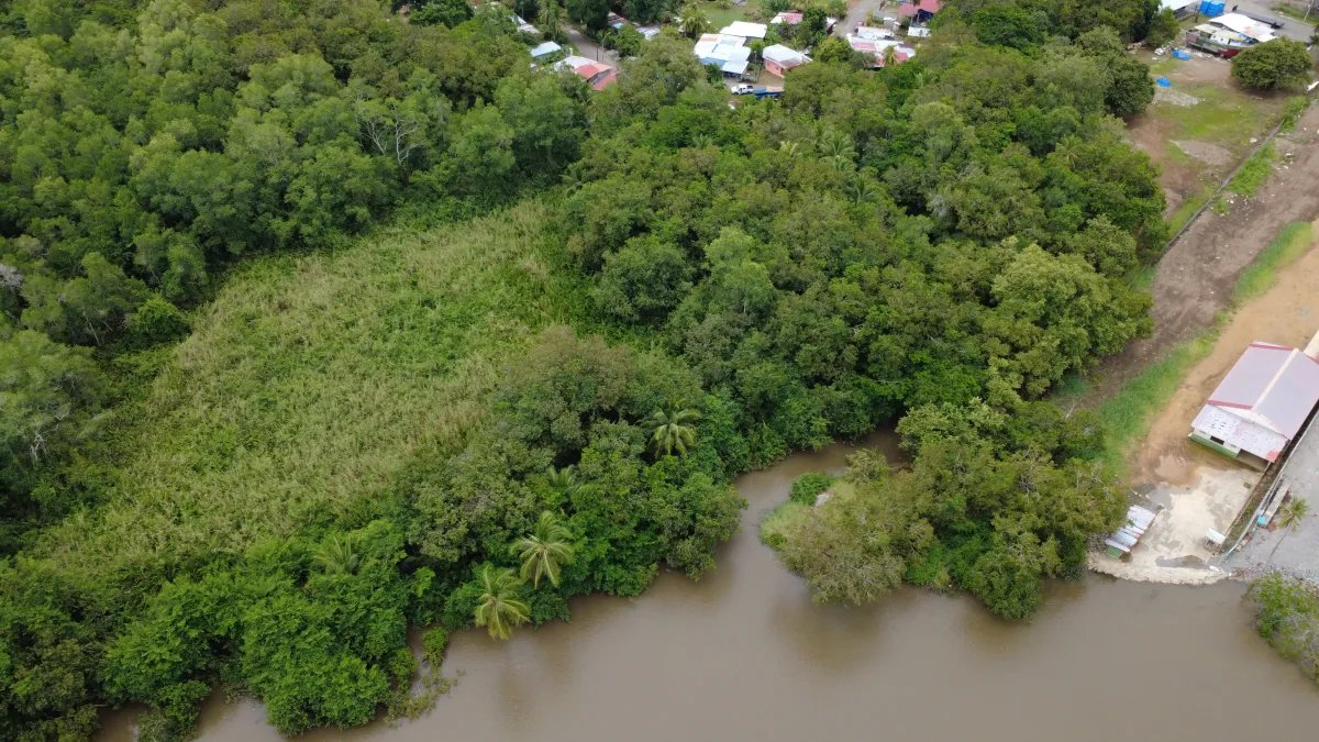 Unimproved Land For Sale in pedregal