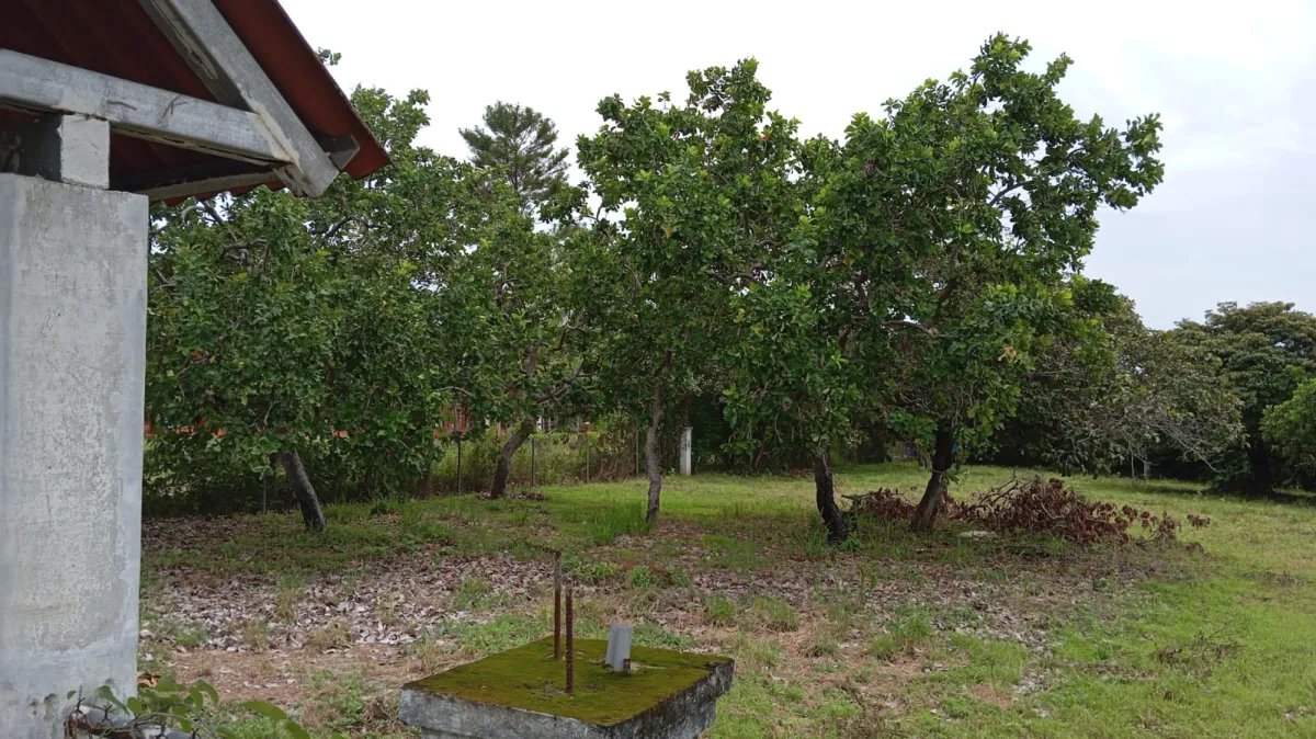Unimproved Land For Sale in Coronado, Corregimiento de Nueva Gorgona