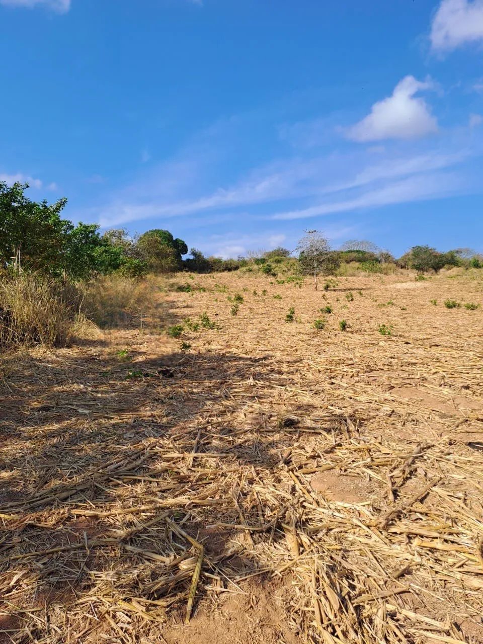 ¡Terreno en Venta! Invierte en tu Futuro Hoy