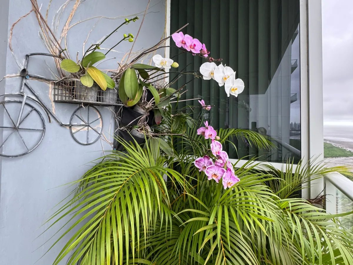 Apartamento en Venta Costa del Este