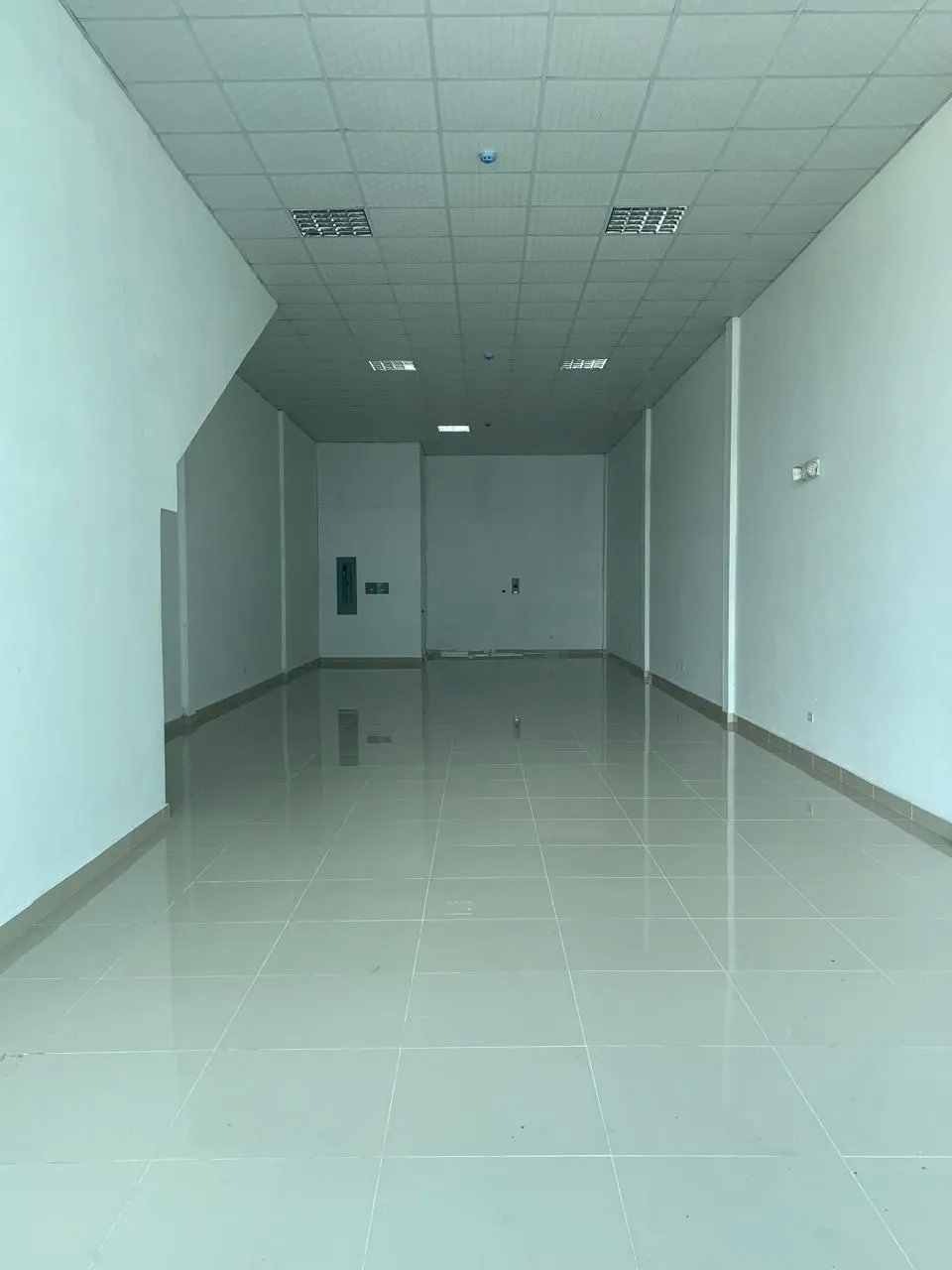 Business For Rent in Avenida José Agustín Arango