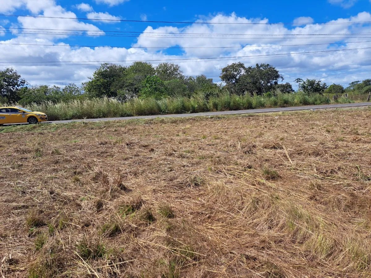 Unimproved Land For Sale in Aguadulce