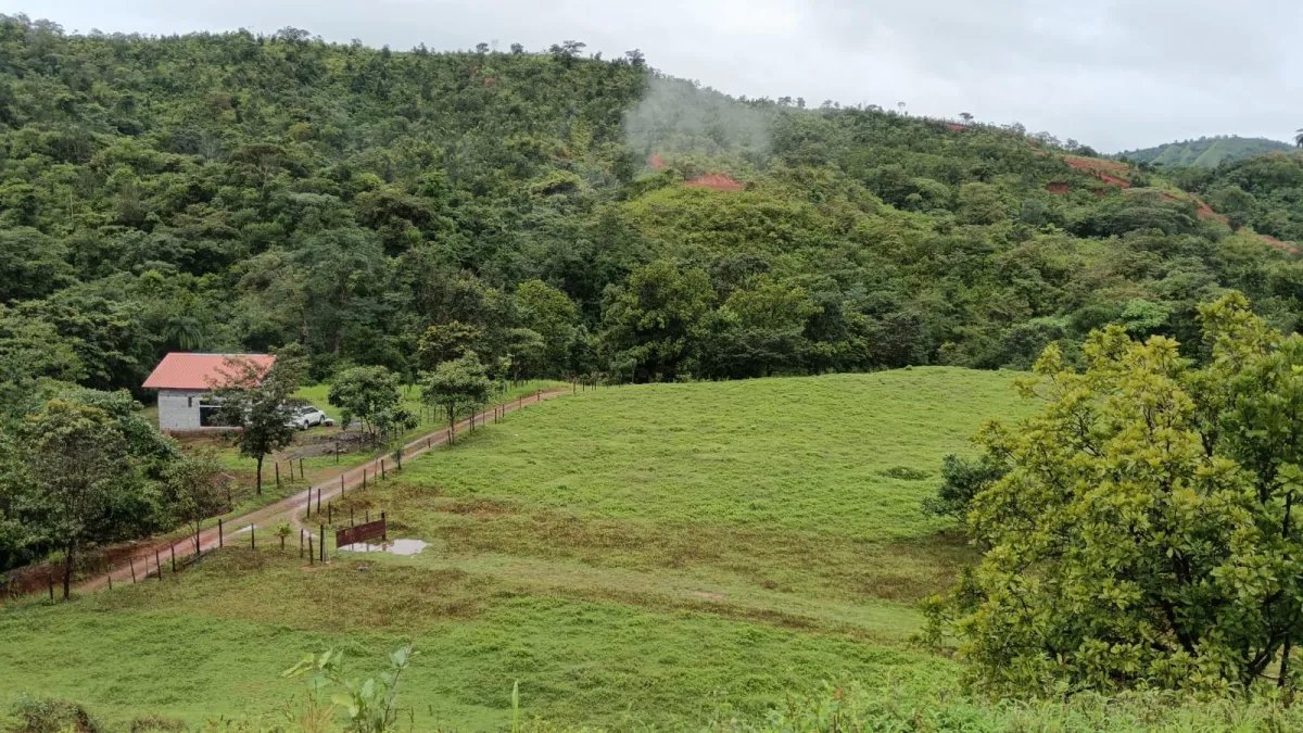 Unimproved Land For Sale in Torio, Mariato