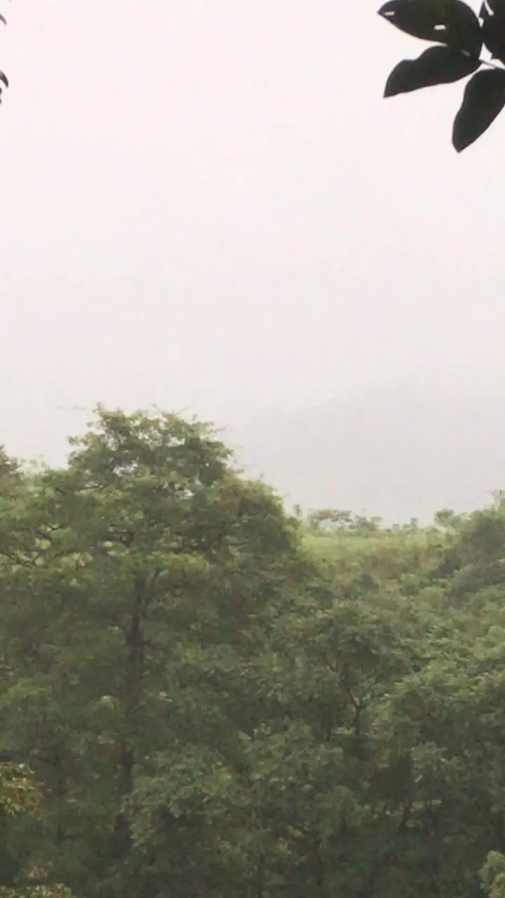 Unimproved Land For Sale in Torio, Mariato