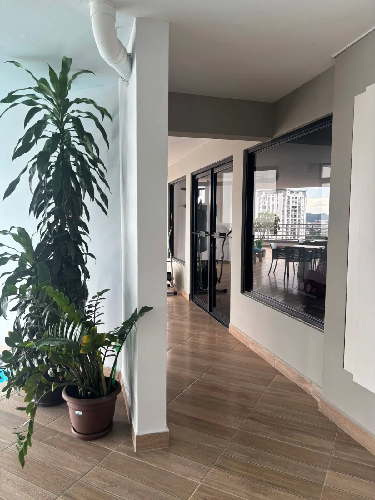 Apartment For Sale in Hato Pintado
