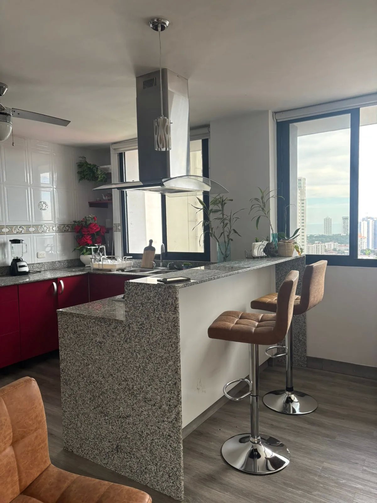 Apartment For Sale in Hato Pintado