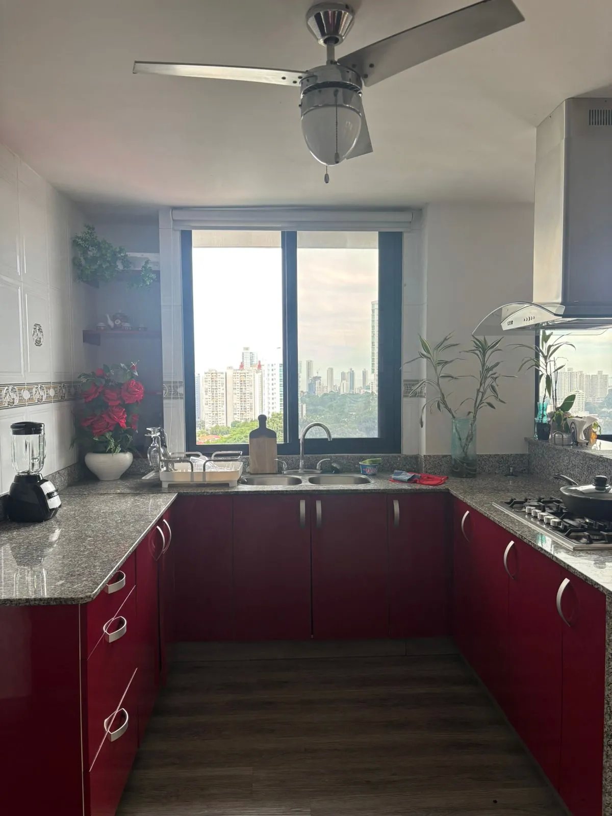 Apartment For Sale in Hato Pintado