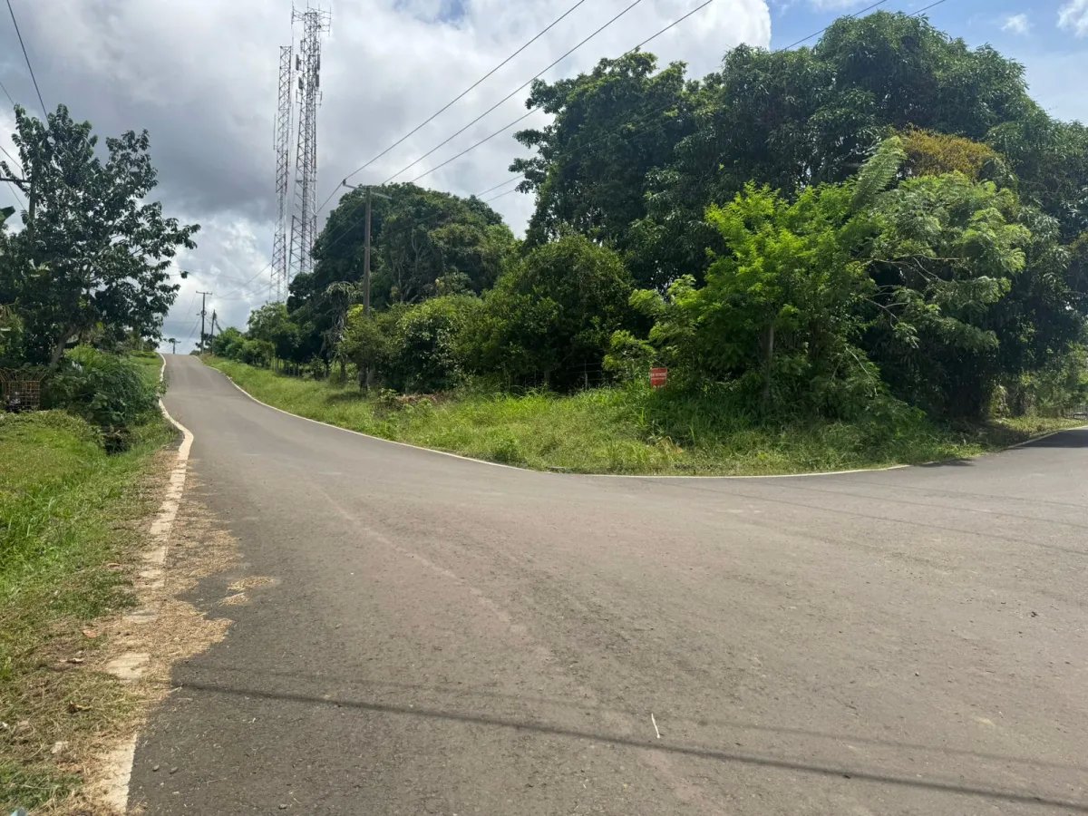 VENDO PROPIEDAD COMERCIAL EL COCO LA CHORRERA