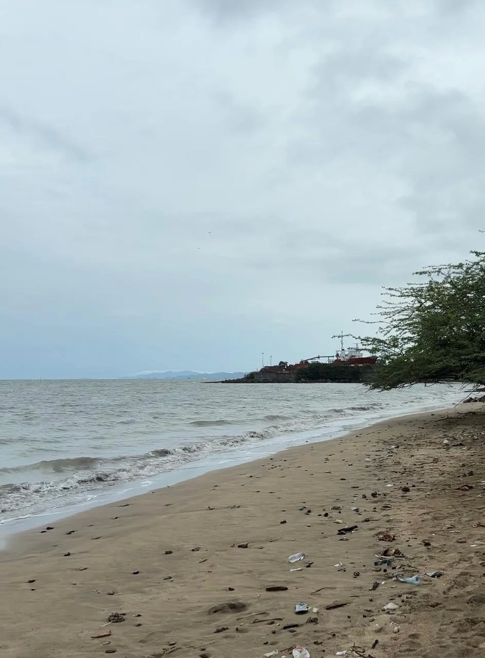 Propiedad en venta frente a la playa de Veracruz