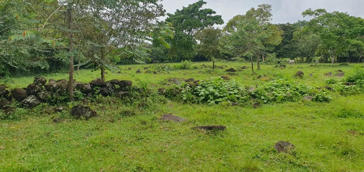 Venta de lotes en Las Cañas en Chiriquí