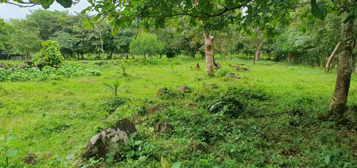 Venta de lotes en Las Cañas en Chiriquí
