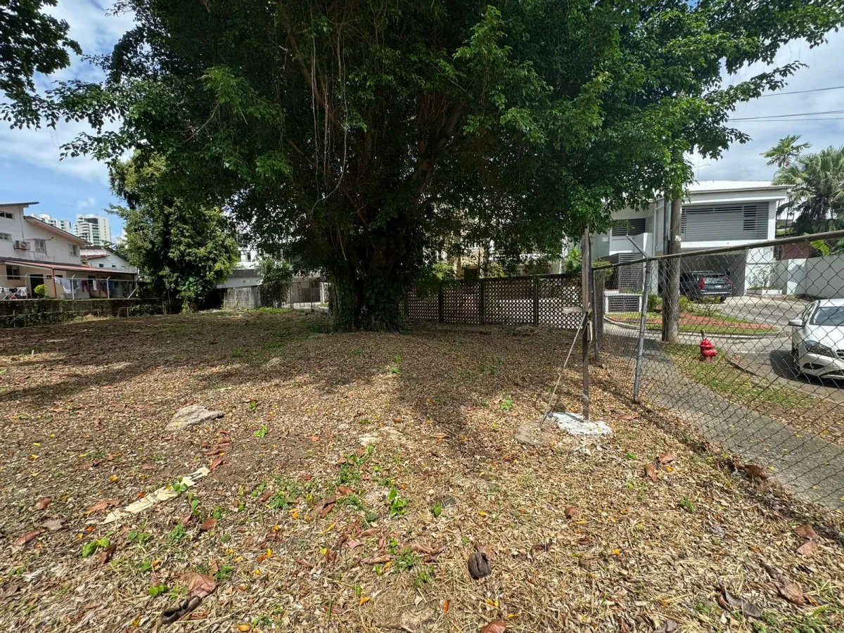 1,200 m² de Terreno Exclusivo en El Carmen - Ciudad de Panamá