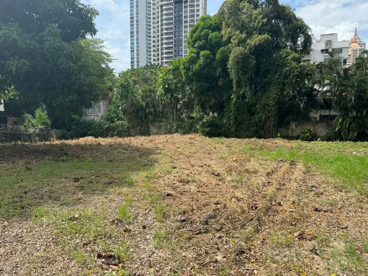 1,200 m² de Terreno Exclusivo en El Carmen - Ciudad de Panamá