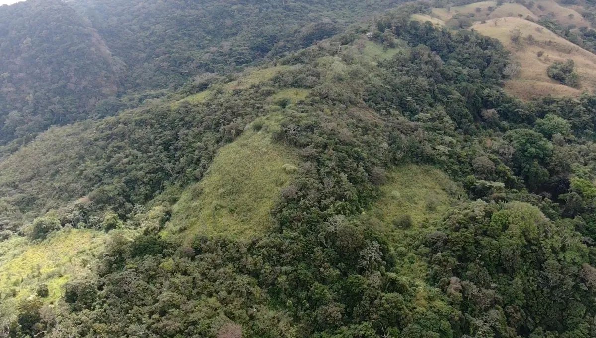 Venta de Terreno en Altos de Maria