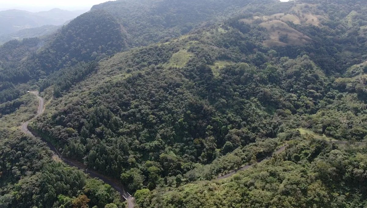 Venta de Terreno en Altos de Maria