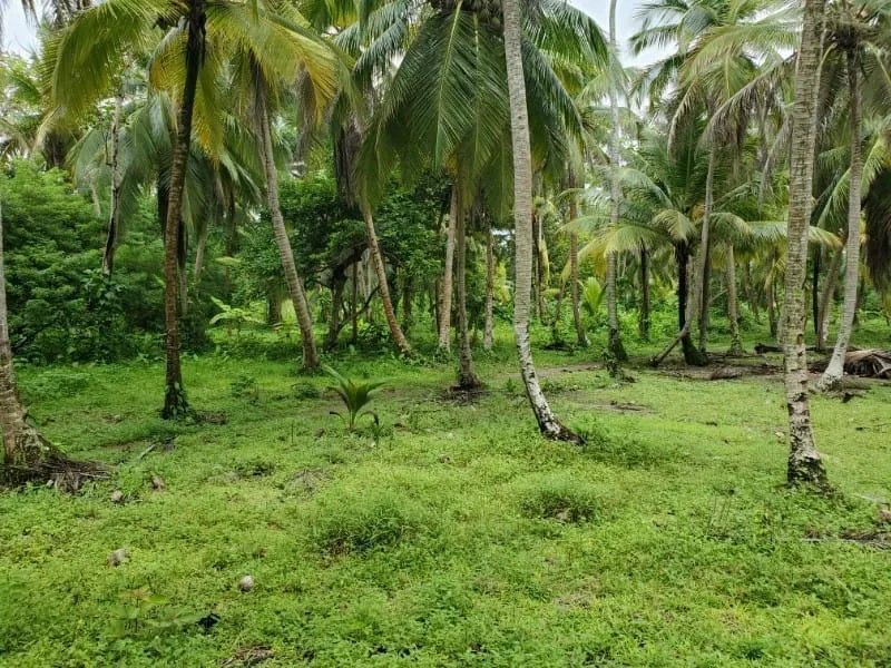 Venta de Terreno frente al mar en Colón, Nombre de Dios