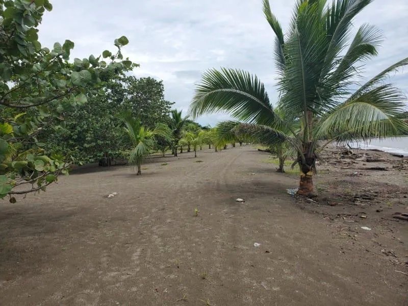 Venta de Terreno frente al mar en Colón, Nombre de Dios