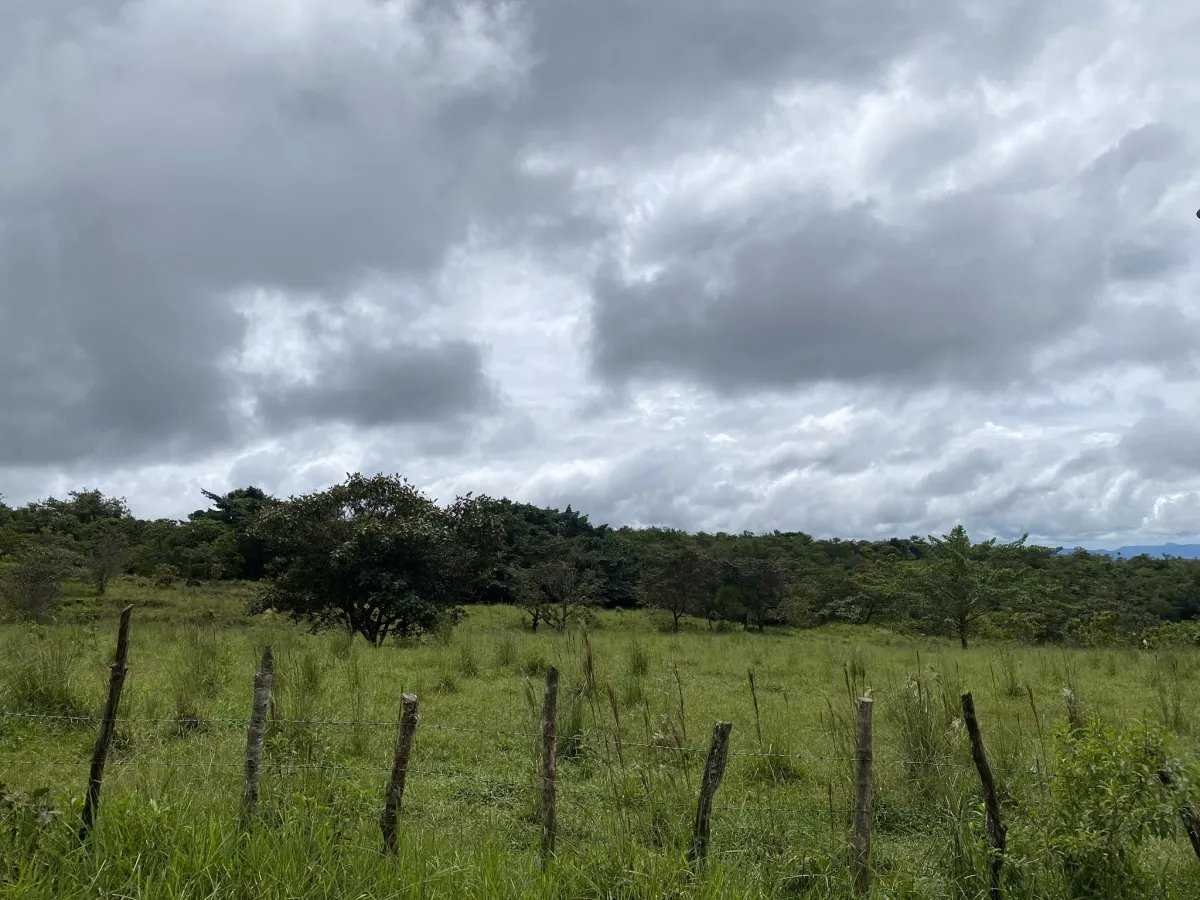 Unimproved Land For Sale in Jaramillo